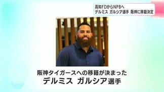 高知ファイティングドッグスからNPBへ デルミス・ガルシア選手が阪神タイガース移籍 | 高知のニュース・天気|KUTV NEWS | KUTVテレビ高知