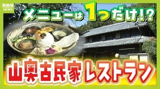 【わざわざ行きたいグルメ】メニューは１つだけ！？大阪市内から移住した夫婦が営むレストラン　奈良の古民家で味わう“とれたて新鮮野菜のフルコース”【ポツンと山奥グルメ第2弾】　|　MBSニュース | 関西の最新ニュースを分かりやすく。