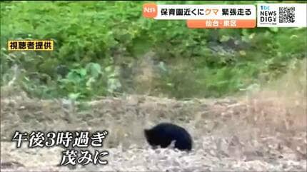 仙台の保育園近くにクマ出没で一時緊張走る 園児が外に出られず・麻酔