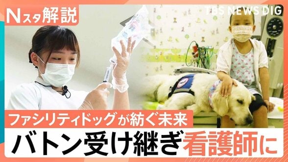 「恩返しのために看護師になりたい」 ファシリティドッグが紡ぐ未来 一人の少女が受け取ったバトン【Nスタ解説】|TBS NEWS DIG