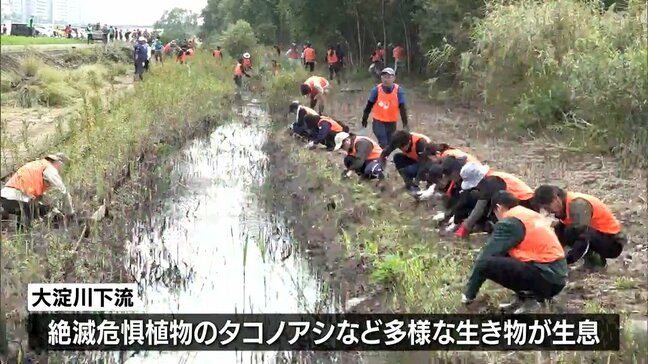 希少植物の生育環境を良くしよう　宮崎市の大淀川河川敷で環境団体や市民が保全活動|TBS NEWS DIG