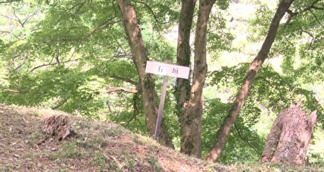  大聖寺城跡を国史跡 山田氏庭園・平木氏庭園を国の文化財に答申　石川県内の指定史跡は27件に|TBS NEWS DIG
