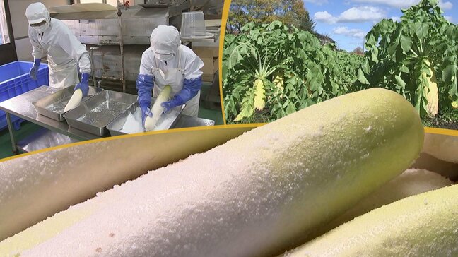 パリパリ食感と程よい塩加減の「大根の一本漬け」　天然の冷蔵庫で熟成させる一品　岩手・西和賀町|TBS NEWS DIG