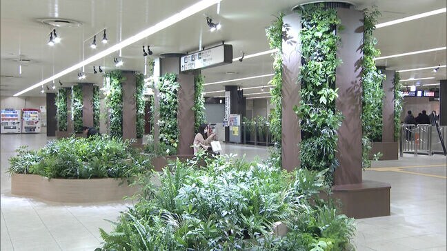 地下鉄博多駅に緑の憩いスペース完成 観葉植物8400本・休憩用のベンチも 福岡市|TBS NEWS DIG