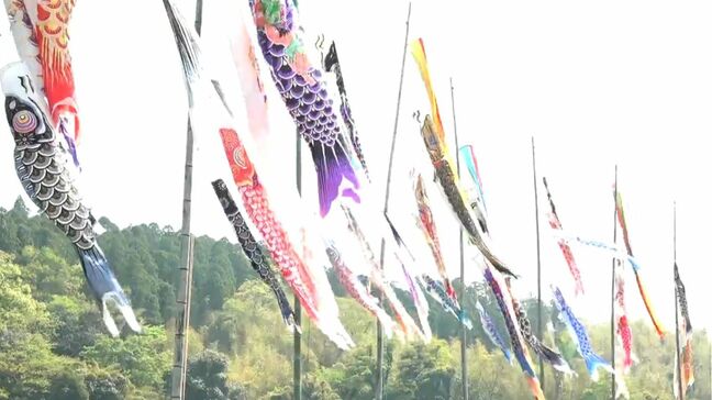 町内放送で呼びかけ　提供されたこいのぼり70匹が川の土手で泳ぐ　鹿児島・鹿屋|TBS NEWS DIG