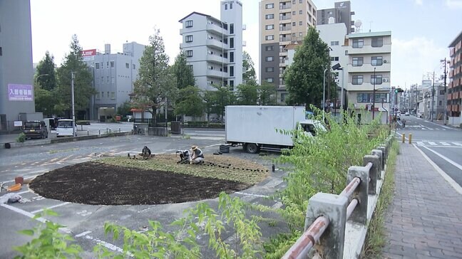 【岡山芸術交流】テーマは「変化と循環」→約10メートルの円形に約3000株のタンポポの苗　作品の制作作業を公開　　|TBS NEWS DIG