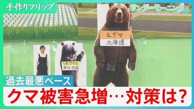 襲われると“死亡率24%” 熊被害が過去最悪ペースで急増 求められる「個体数の管理」と「出没させない取り組み」とは【サンデーモーニング】|TBS NEWS DIG