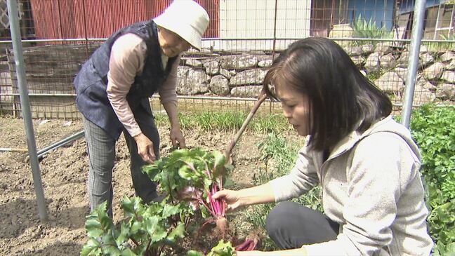 「みんなが集まる場所を作りたかった」カラフルな西洋野菜が売りのカフェ　栽培するのは地元のおばあちゃんたち　山梨・身延町|TBS NEWS DIG