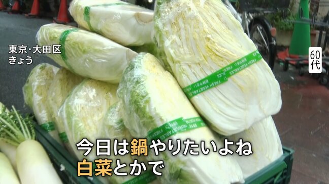 「今週がチャンス」 レタス54円 ホウレンソウ105円　葉物野菜が安い！ 関東“真冬並み気温”に逆戻りの中「鍋が食べたい！」人たちに朗報|TBS NEWS DIG