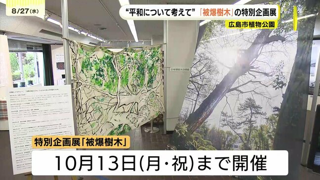 「次の世代にも被爆の事実を伝えて…」原爆の惨禍乗り越えた樹木を紹介　広島市植物公園で特別企画展|TBS NEWS DIG