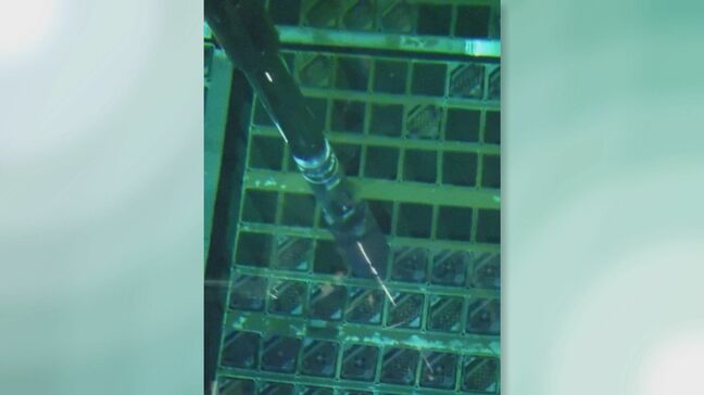 使用済み燃料の取り出し完了　福島第一原発6号機　3、4号機に続き3基目|TBS NEWS DIG