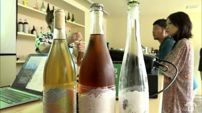 カフェバー「OWL」で青森県産ワインを楽しむイベント開催　弘前市　|　青森のニュース│ATV NEWS│青森テレビ