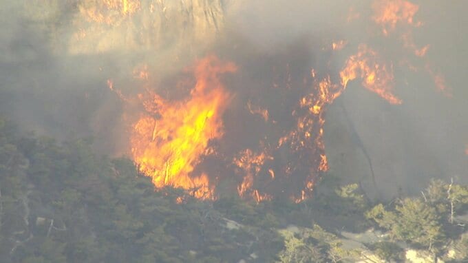 ５日間で242ヘクタール焼いた山火事　70代男性を書類送検　たき火を山に燃え移らせた疑い　広島|TBS NEWS DIG