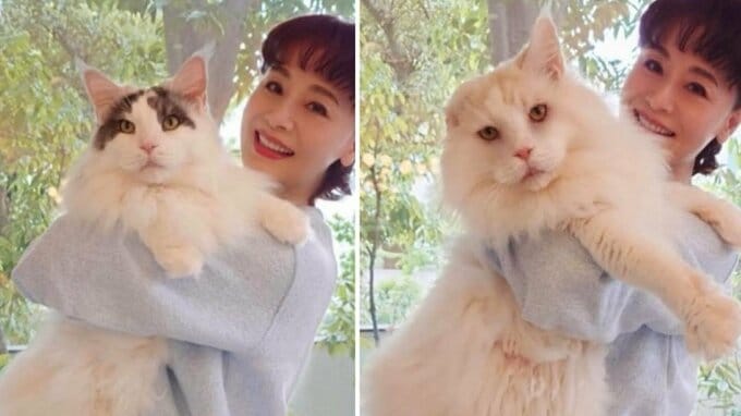 【 大地真央 】大型の愛猫2頭〝すくすくそだって12キロ〟抱き上げて「めでたく5さい」を報告|TBS NEWS DIG