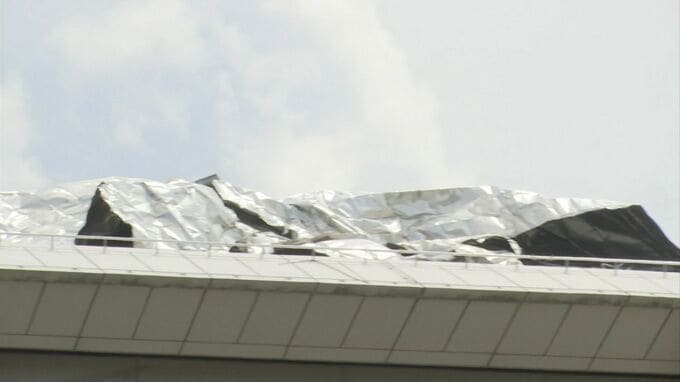 強風で4人が転倒し軽症　倒木や建物への被害なども相次ぐ　鳥取県「引き続き被害状況の把握に努める」　倒木の撤去や農家への支援検討も|TBS NEWS DIG