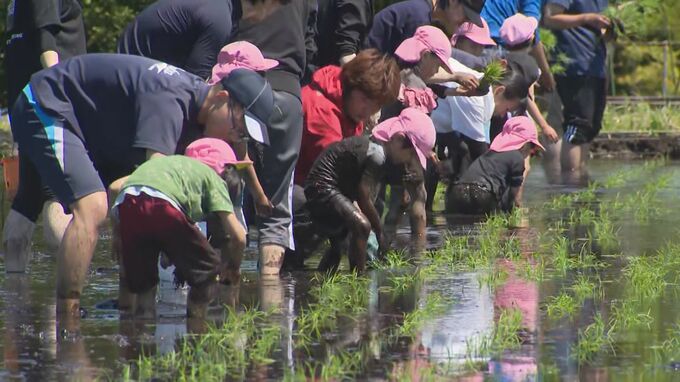 7年ぶりの再開　30年以上続く園児の「田植え体験」背景には農家減少も…「米の大切さを感じてもらえたら」　|　BSSニュース | BSS山陰放送