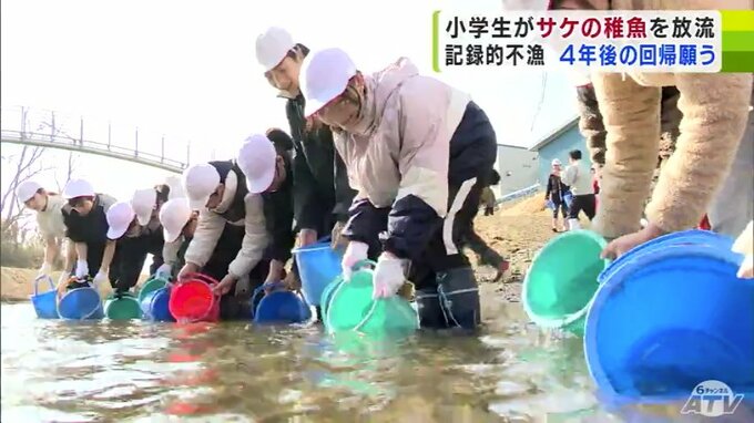 「また元気に4年後」小学生が『サケの稚魚』約6万5000匹を放流　減少しているサケの資源を回復へ　青森県八戸市　|　青森のニュース│ATV NEWS│青森テレビ