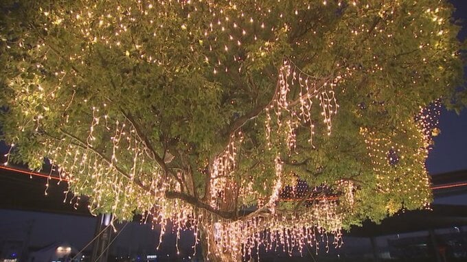 キャンドル・ジュンさん監修　駅舎を引き立てるイルミネーション　山梨・JR竜王駅|TBS NEWS DIG