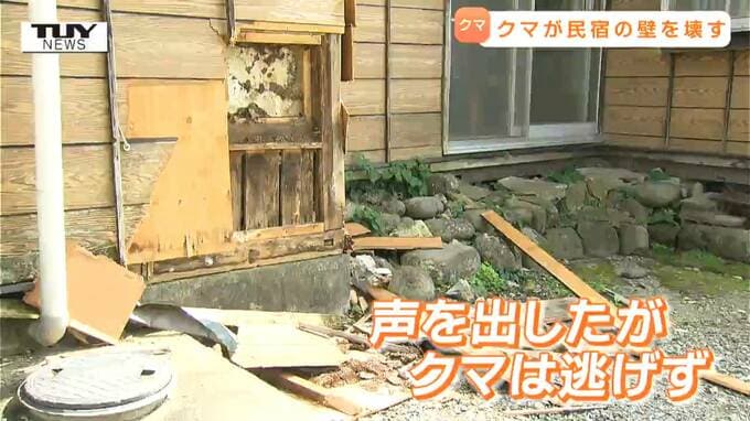 目的はハチミツ？クマが民宿の壁を豪快に壊す「全然びくともしない」声を出してもまったく逃げずハチの巣を狙う（山形）　|　山形のニュース│TUYテレビユー山形