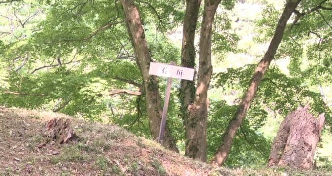  大聖寺城跡を国史跡 山田氏庭園・平木氏庭園を国の文化財に答申　石川県内の指定史跡は27件に　|　石川県のニュース｜MRO北陸放送