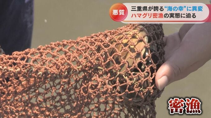 悪質な“ハマグリ密漁”の実態 「禁止」の看板のすぐそばで堂々と貝を獲る人も　直撃取材には「みんなやってる」|TBS NEWS DIG