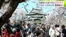 2025年の「弘前さくらまつり」の人出は231万人　2024年に次ぐ過去5年で2番目に多い人出に　青森県弘前市　|　青森のニュース│ATV NEWS│青森テレビ