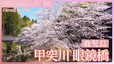 「甲突川の眼鏡橋と桜」【JNN sakuraドローンDIG 2025】|TBS NEWS DIG
