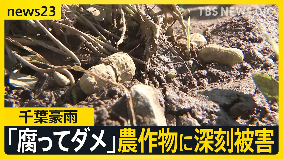 hazu 雨月18個 災害支援 - 【熊本県上天草市】令和7年8月豪雨 災害支援