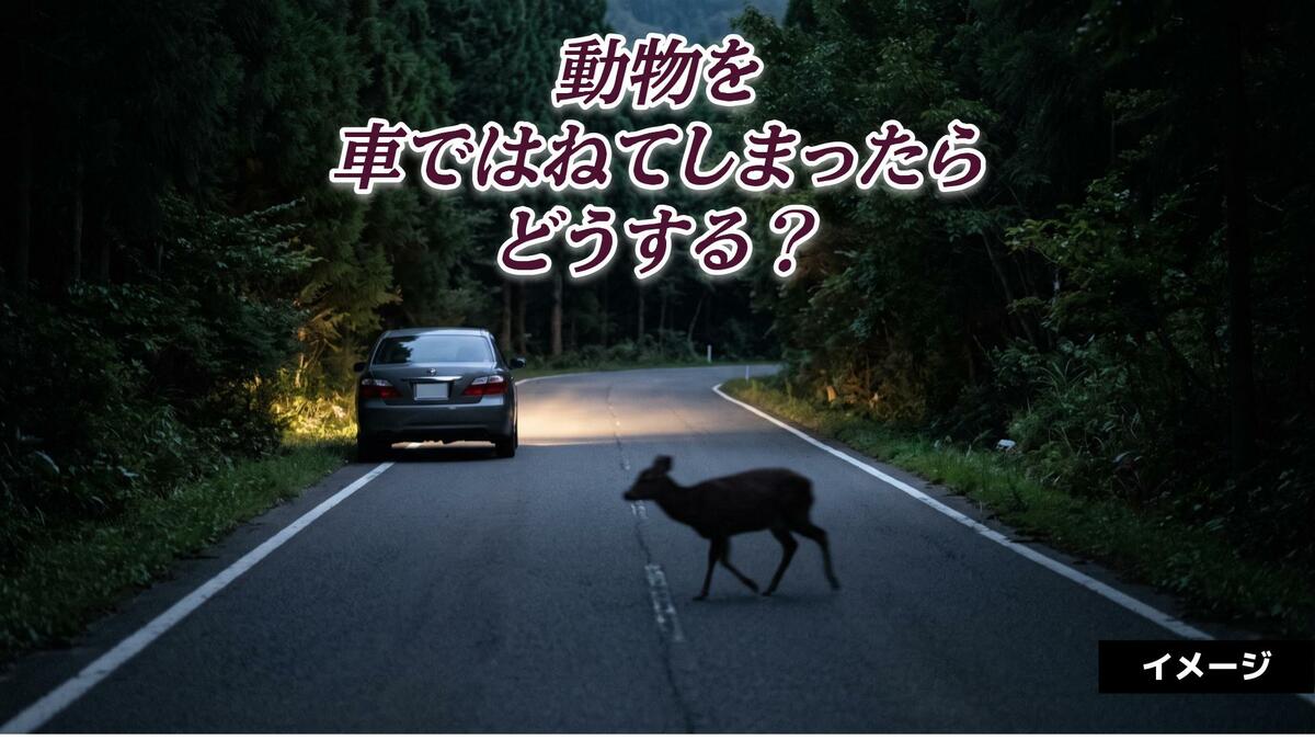 動物を車ではねてしまったらどうする？警察への報告と道路上の死骸への対応
