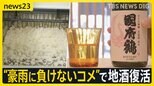 「100年先を見据えて」“豪雨に負けない”コメ開発で…40年ぶりに“東京の地酒”も復活【news23】|TBS NEWS DIG