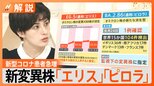 第9波?新型コロナ患者が急増 新変異株「エリス」「ピロラ」とは【Nスタ解説】|TBS NEWS DIG