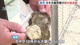 カキ大量死　直面する広島県呉市が養殖業者に「カキ養殖応援給付金」を支給　市長と業者の意見交換会も|TBS NEWS DIG