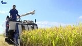 岩手県南部で稲刈り本格化　出来秋に価格下落の影　刈取りのスケジュールはほぼ平年並み|TBS NEWS DIG
