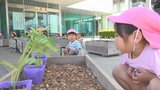 「大きくなーれ」保育園児が緑のカーテン作り　ゴーヤとアサガオの苗を植え　山梨市役所|TBS NEWS DIG