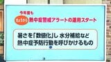 涼しい今の時期にやっておきたい！　暑さに慣れる「暑熱順化」とは　|　高知のニュース・天気｜KUTV NEWS | KUTVテレビ高知