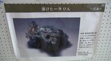 広島と長崎の惨状を伝える 盛岡市で原爆写真パネル展|TBS NEWS DIG