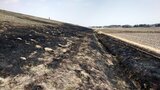 枯草焼却中に火事 70代男性けが 宮城・大郷町 | 宮城のニュース│tbc NEWS│tbc東北放送