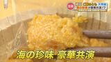 一口食べたらもう箸が止まらない!ごはんがススム!天草のご飯のおとも | 熊本のニュース|RKK NEWS|RKK熊本放送