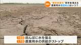 「企業優先みたい…」工業用水は再開も田植えの農家は悲鳴「半日でも早く水を」 一方で”歴史的変化”に見学者の姿も 愛知の取水施設漏水 | 名古屋・愛知・岐阜・三重のニュース【CBC news】 | CBC web