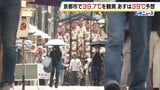 【京都で39.7℃観測】近畿で今年最も高い気温に　「暑いとは聞いていたけどここまでとは…」38℃に迫った奈良市ではシカが木陰で一休み　|　MBSニュース | 関西の最新ニュースを分かりやすく。