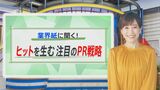 大谷翔平に巨大猫…誰もが見たことある「OOH」「ティザー」広告“その時だけの希少感”と“じらし戦略”で大ヒット増産中【THE TIME,】 |TBS NEWS DIG