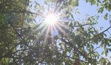大月38.7℃ 今年全国最高 県内4地点で猛暑日 6歳から90代まで男女9人が熱中症か 山梨 | 山梨のニュース | UTYテレビ山梨