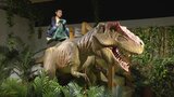 恐竜がやってくる | 福岡のニュース|RKB NEWS|RKB毎日放送