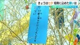 「短冊に託した園児の願いは…佐渡では海中で恒例の…」各地で七夕のイベント 新潟|TBS NEWS DIG