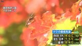 前日の冷え込み緩み暖かい朝 日中も気温上がり20度超す予報 岩手|TBS NEWS DIG