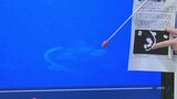豊の国宇佐市塾 初の戦艦大和のカラー映像を発表 大分 | 大分のニュース|OBS NEWS|大分放送