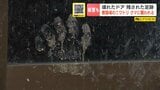 クマの足跡がくっきりと…養鶏場でニワトリ17羽がクマの襲われる 木製の小屋を破壊して侵入か 北海道岩見沢市 | 北海道のニュース|HBC北海道放送