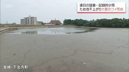 猛暑 20日間の降水量が平年の約1割 宮崎市ではため池の一部が干上がり
