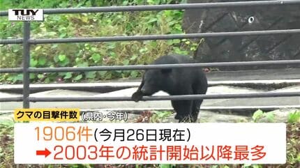 クマ目撃件数はすでに去年の5倍超10月だけで去年1年間超える（山形