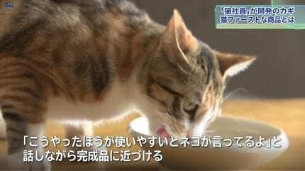 猫社員」と商品開発 岩手から世界へ “ネコファースト”な製品とは | IBC